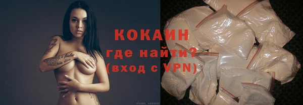сатива Волоколамск