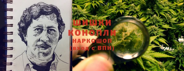 хмурый Верея