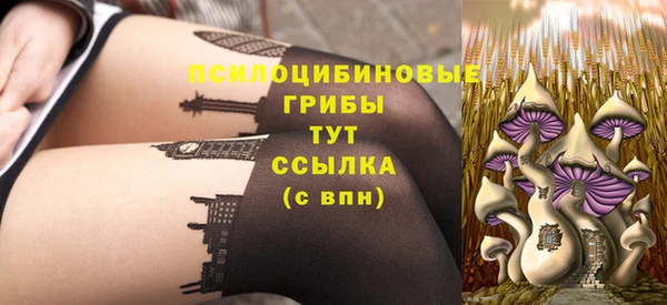сатива Волоколамск