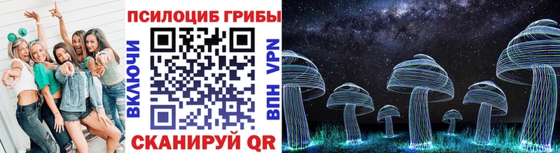 Купить закладки  Новоаннинский  Галлюциногенные грибы мицелий 